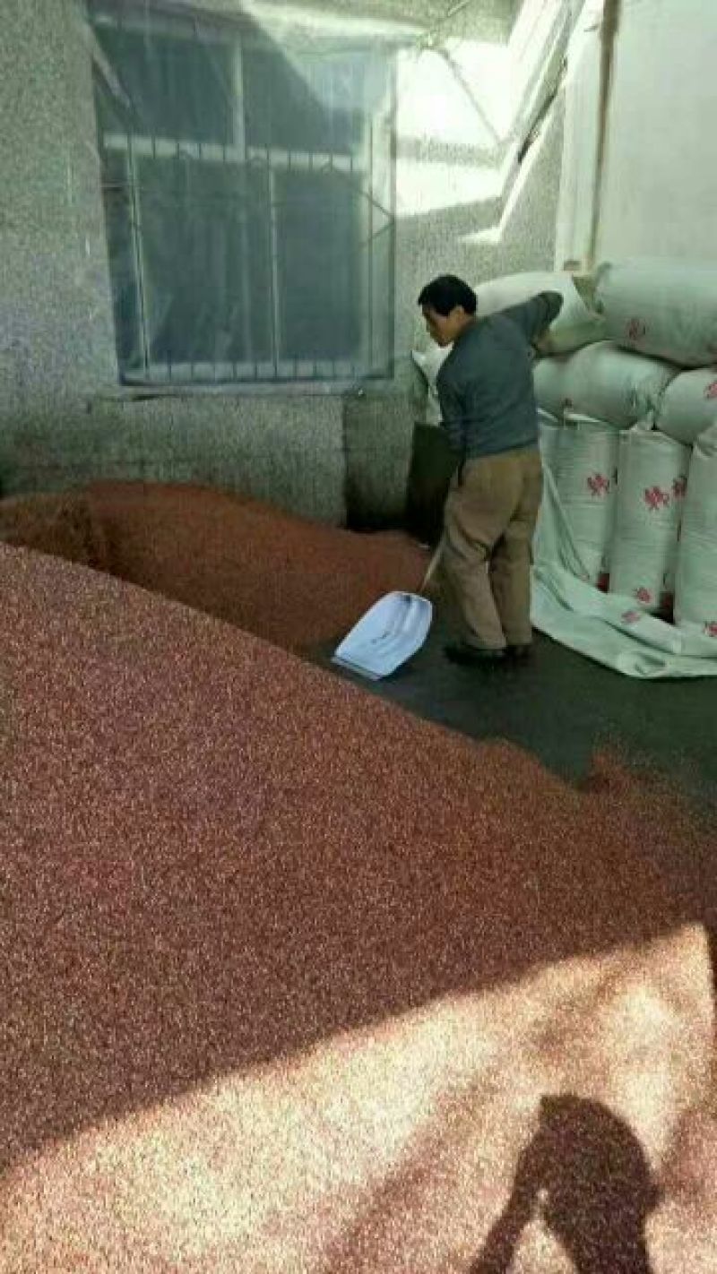 大红袍花椒梅花椒一级干