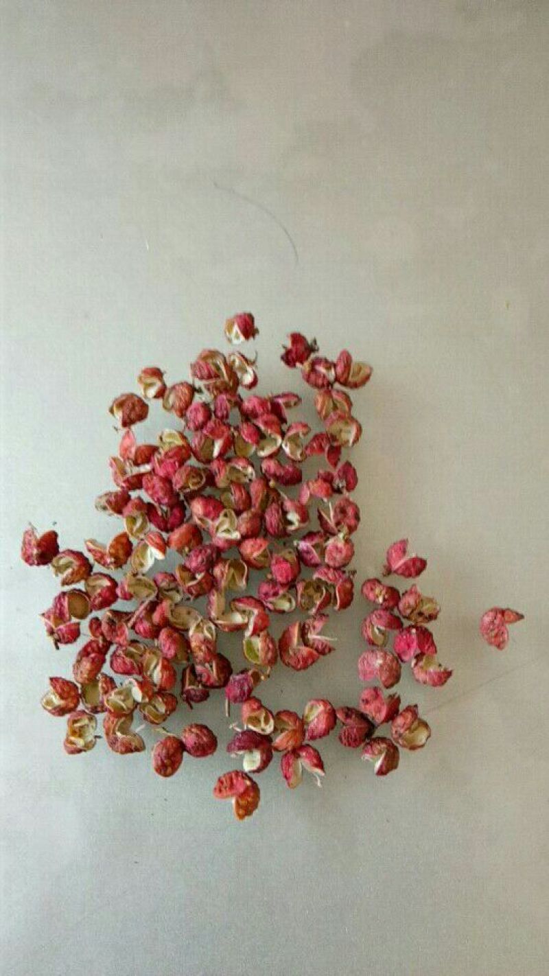 大红袍花椒梅花椒一级干
