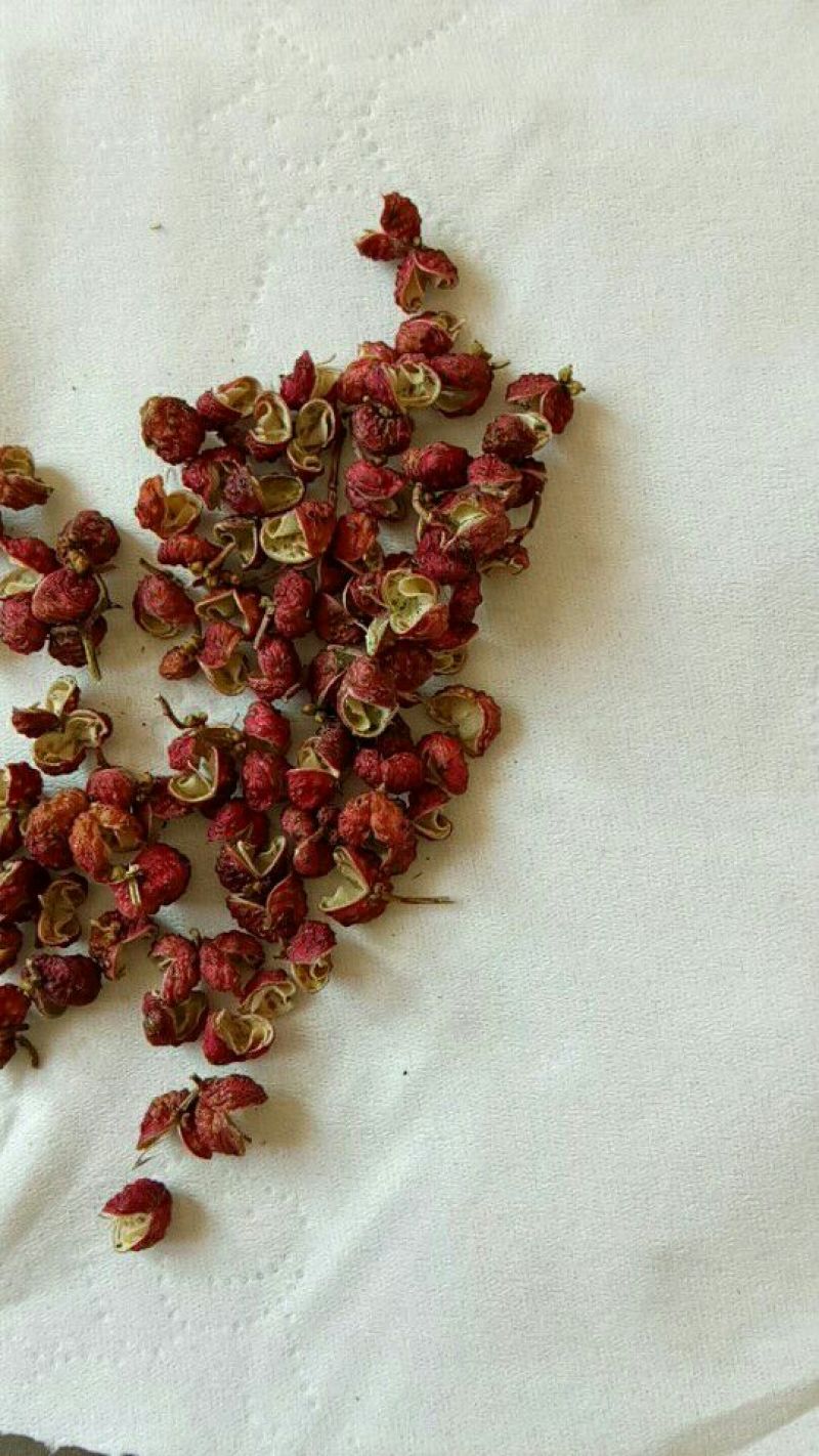 大红袍花椒梅花椒一级干
