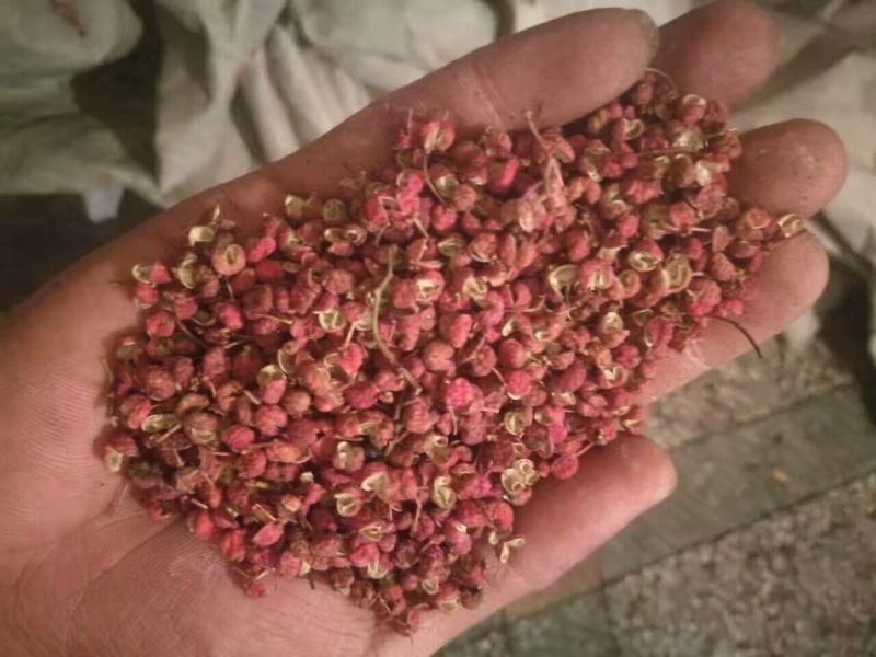 大红袍花椒梅花椒一级干