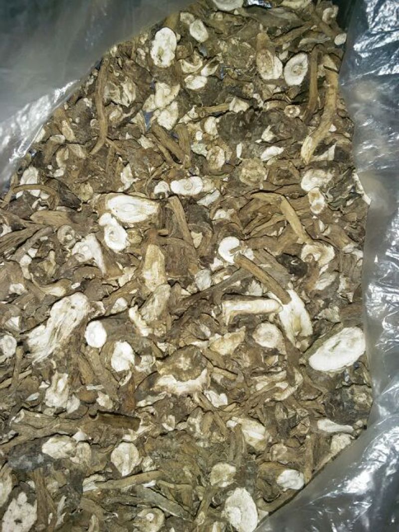 蒲公英根