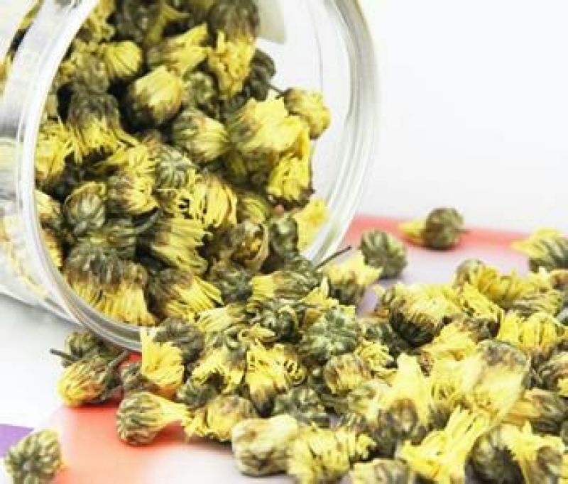 菊花茶特级