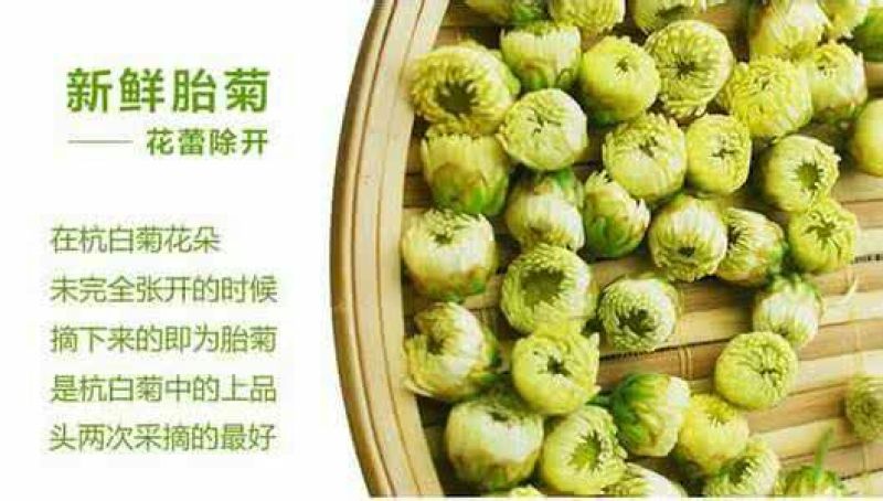 菊花茶特级