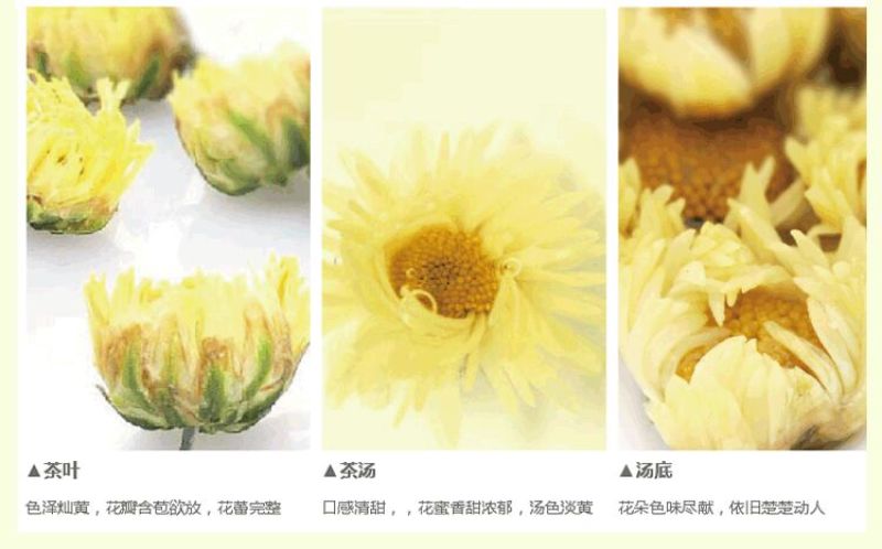 菊花茶特级