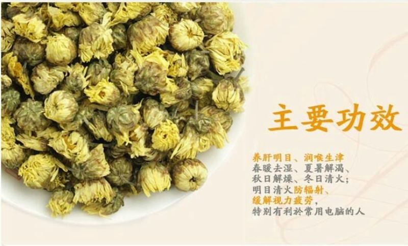 菊花茶特级