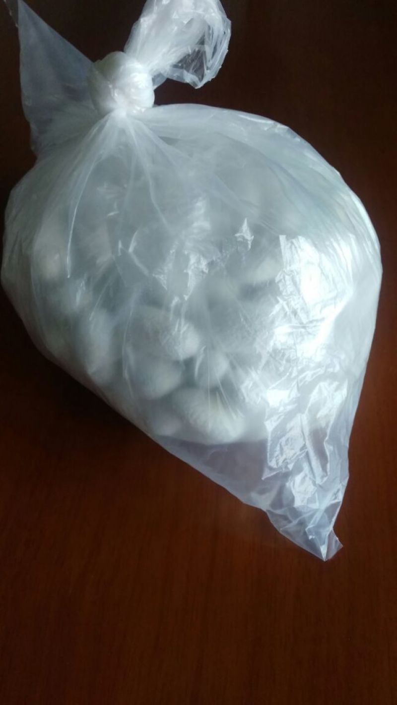茧蛹