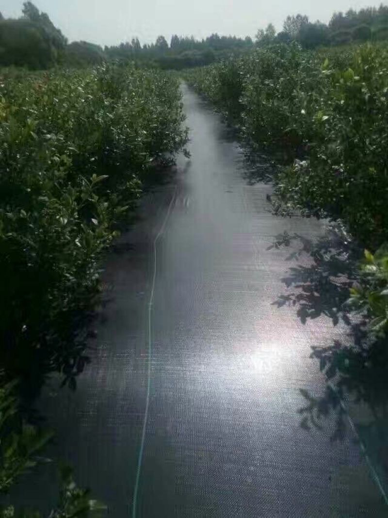 1.2米宽防草布除草布PE聚乙烯材