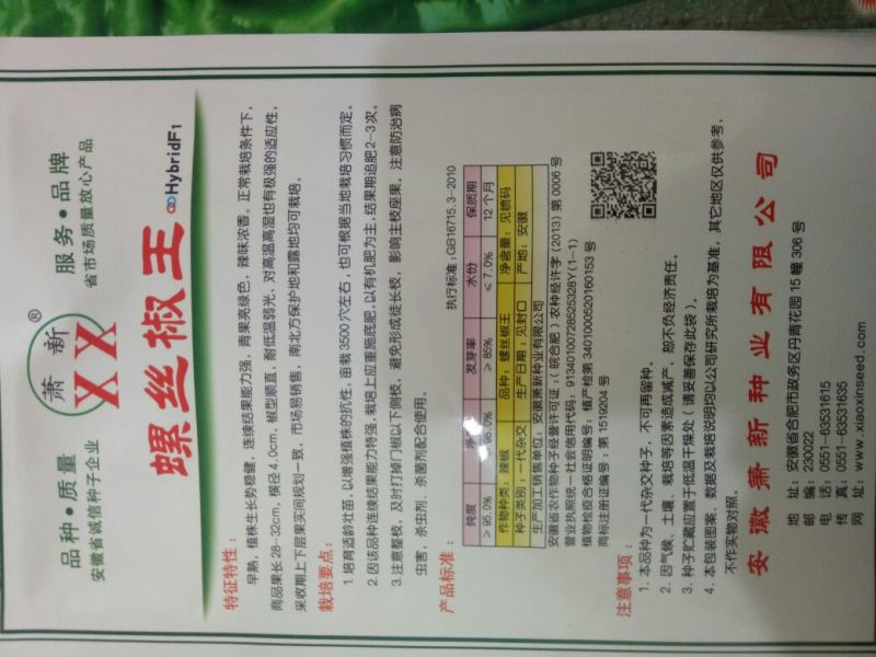 龙椒种子，线椒，黄线椒螺丝椒种子95%以上