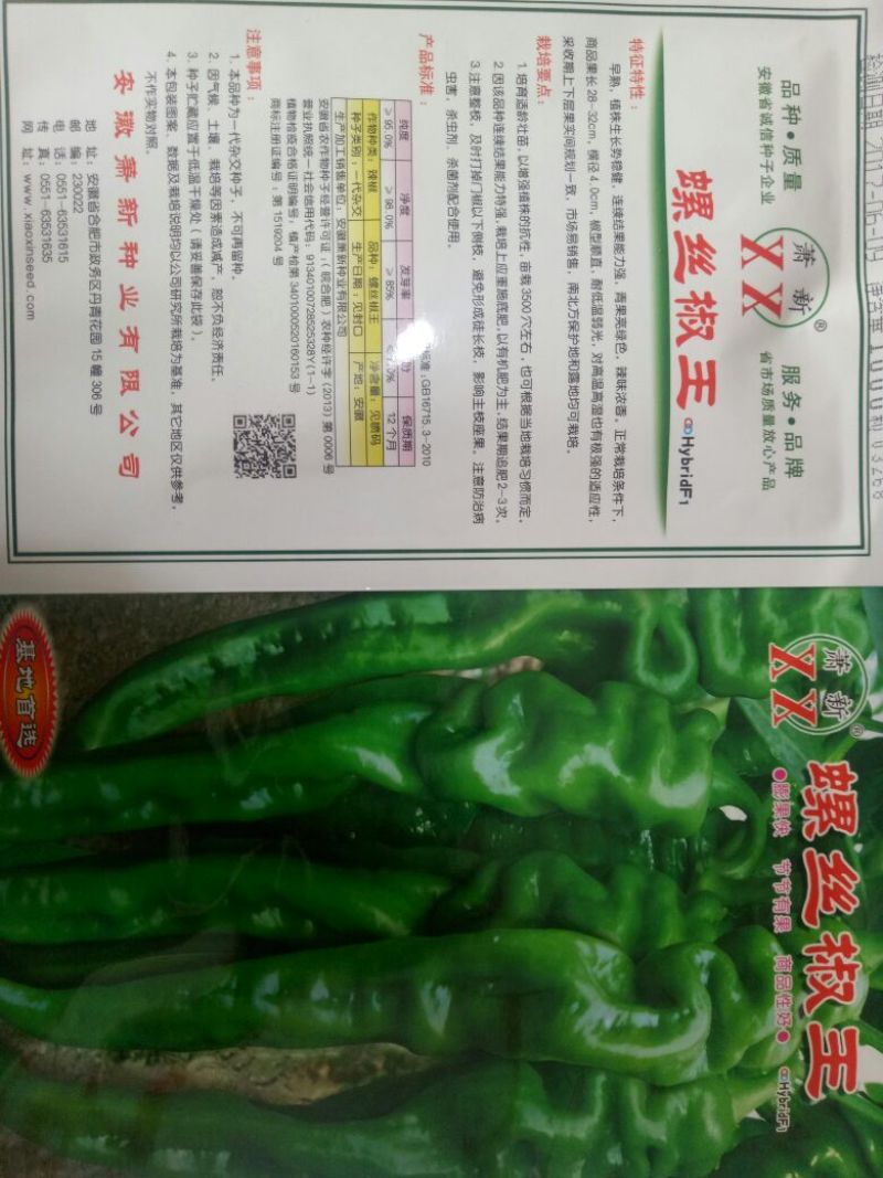 龙椒种子，线椒，黄线椒螺丝椒种子95%以上