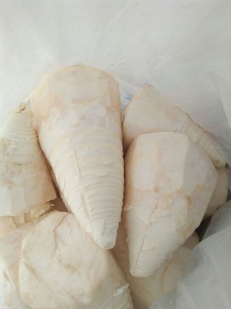 酸笋丝