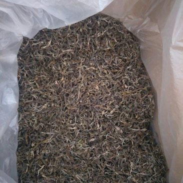 普洱茶二级