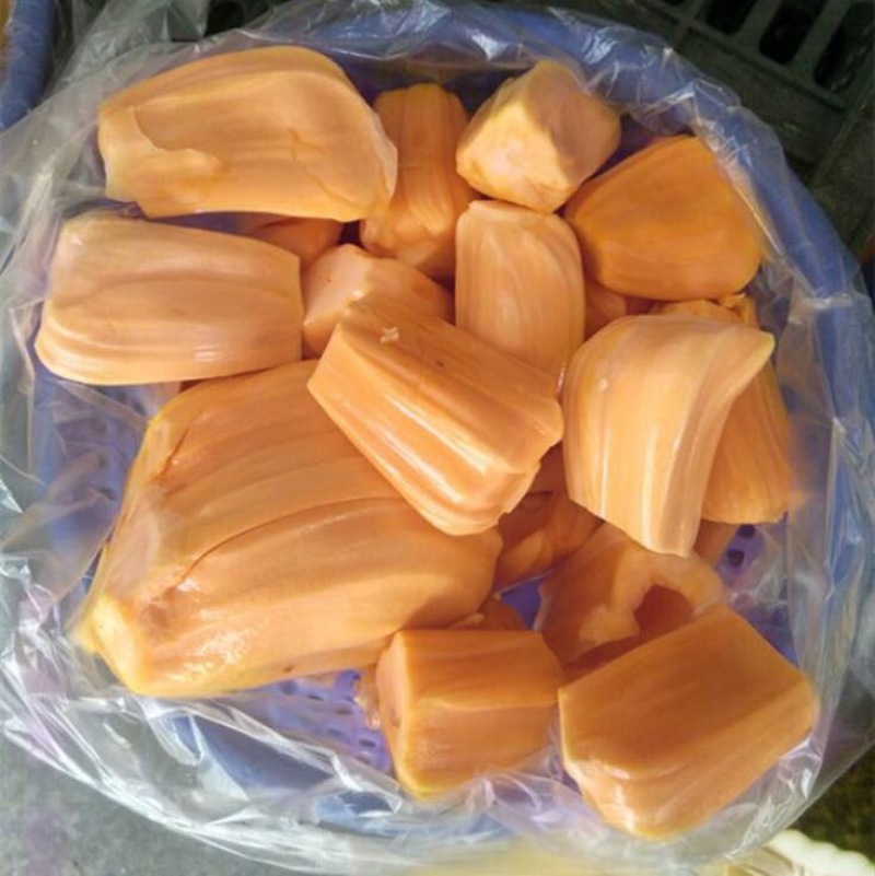 菠萝树苗