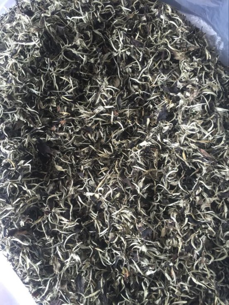 普洱茶一级
