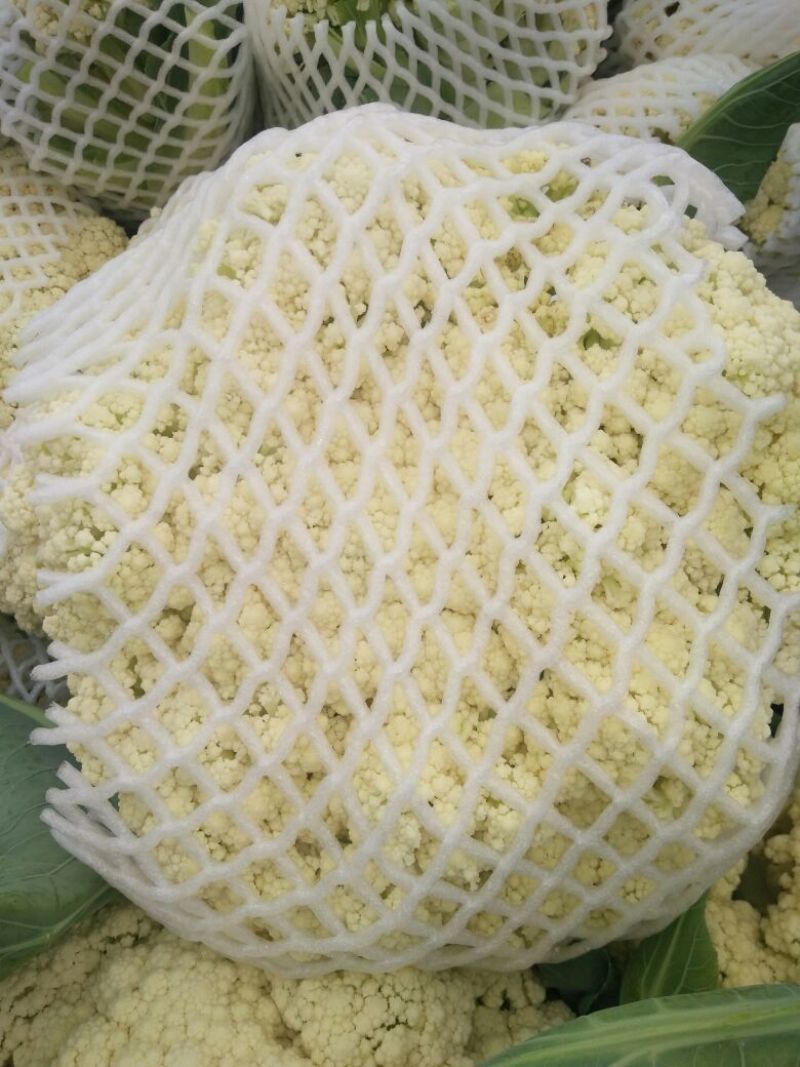 菜花适中乳白1斤