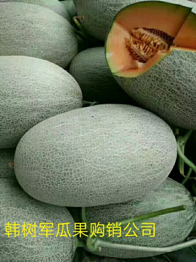 西州蜜瓜5斤以上长圆形