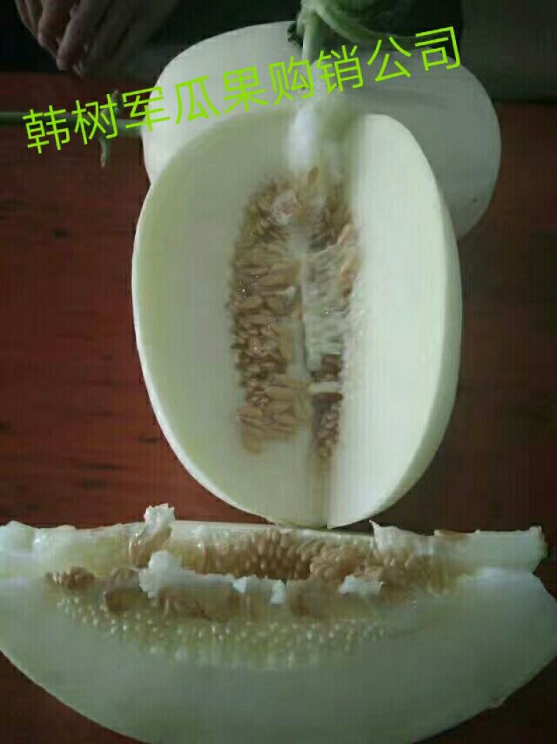 翠梨甜瓜1.5斤以上通货