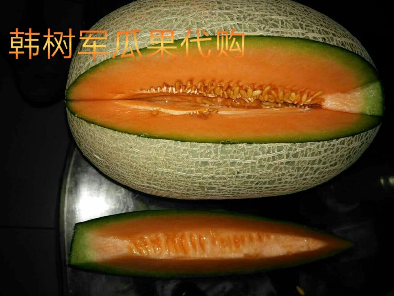 长香玉哈密瓜5斤以上长圆形