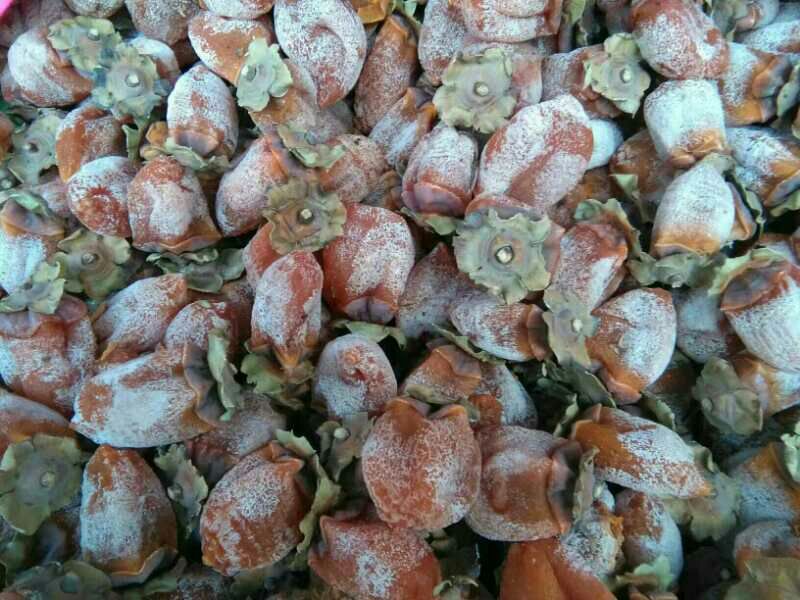 柿饼1~2两