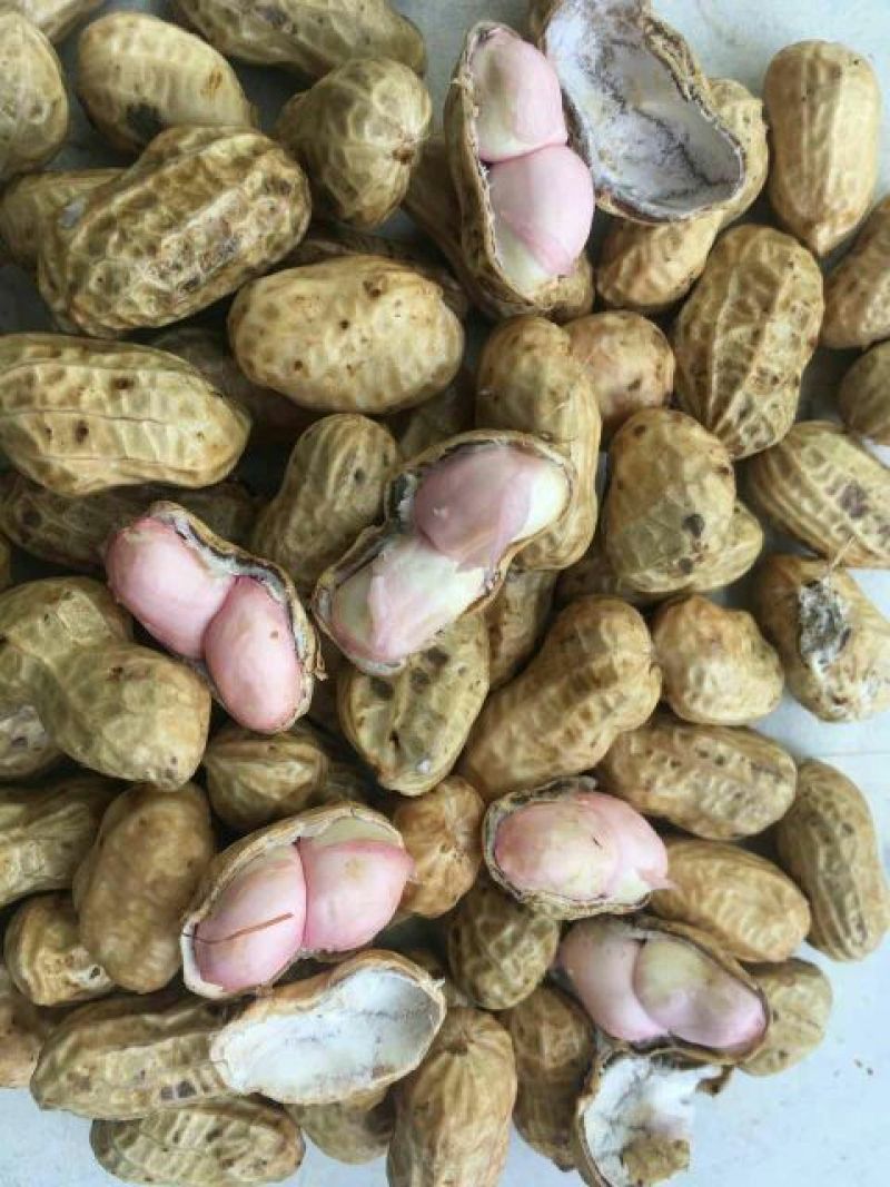 白沙系列鲜货带壳