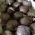 圆黄梨300~350g纸加膜