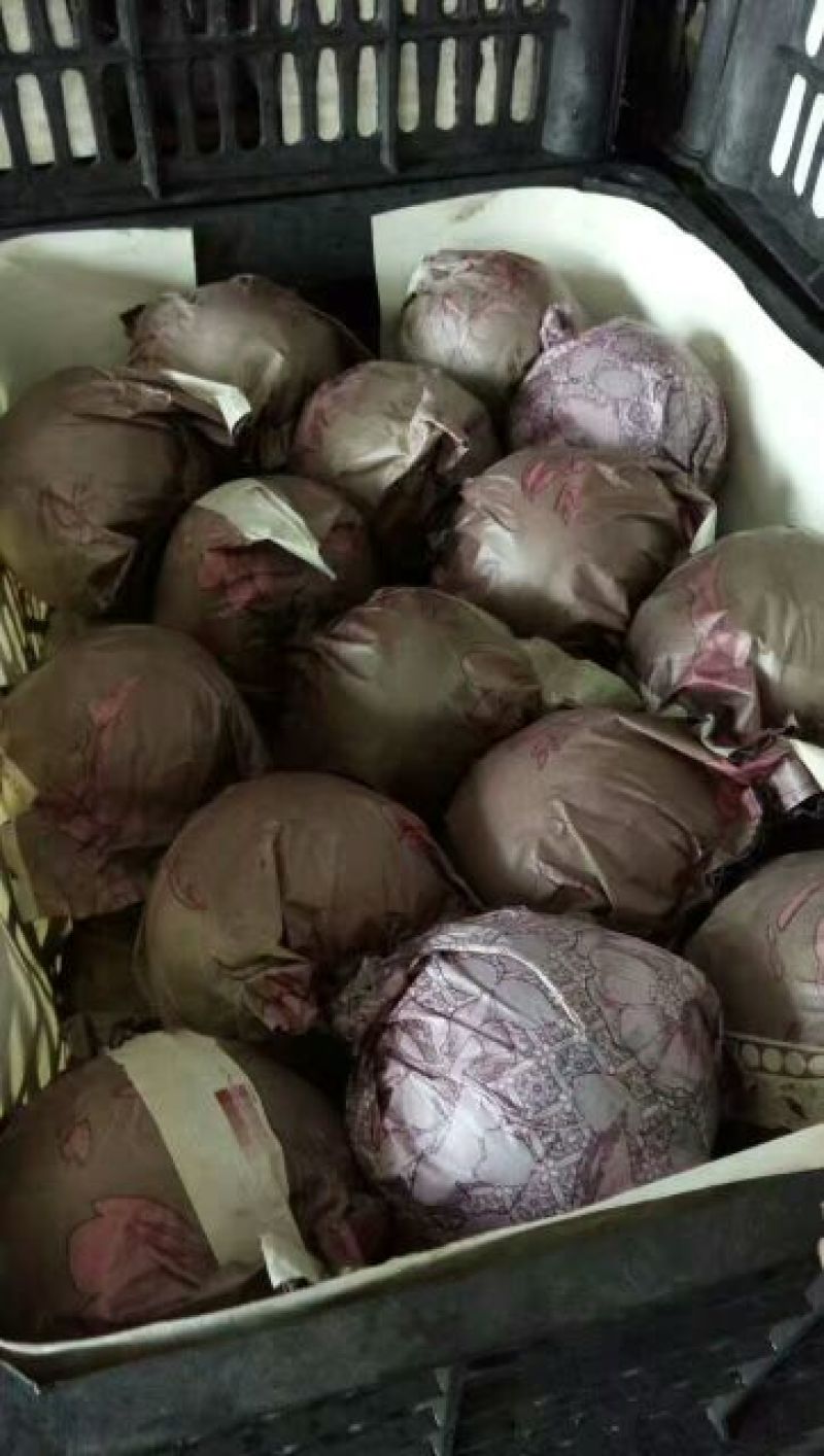 圆黄梨300~350g纸加膜