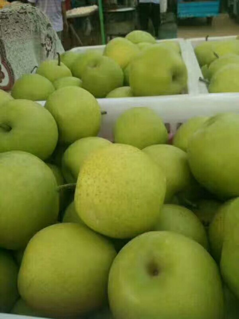 皇冠梨300~350g纸加膜