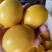 青柠檬2~2.6两