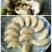 菱角米包装（包装按照客户指定要求来，有散装和抽真空。）