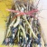 油牡丹苗10cm以下