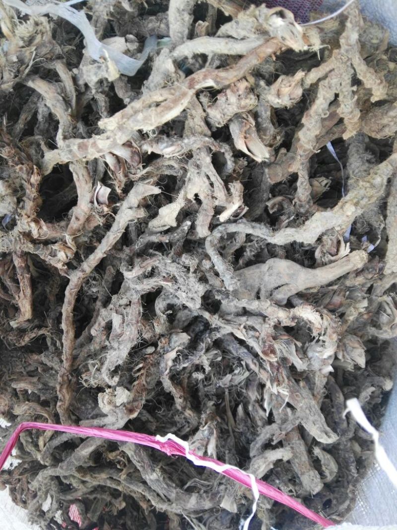 石菖蒲/菖蒲/石葱，干货，常年供应，批发优惠