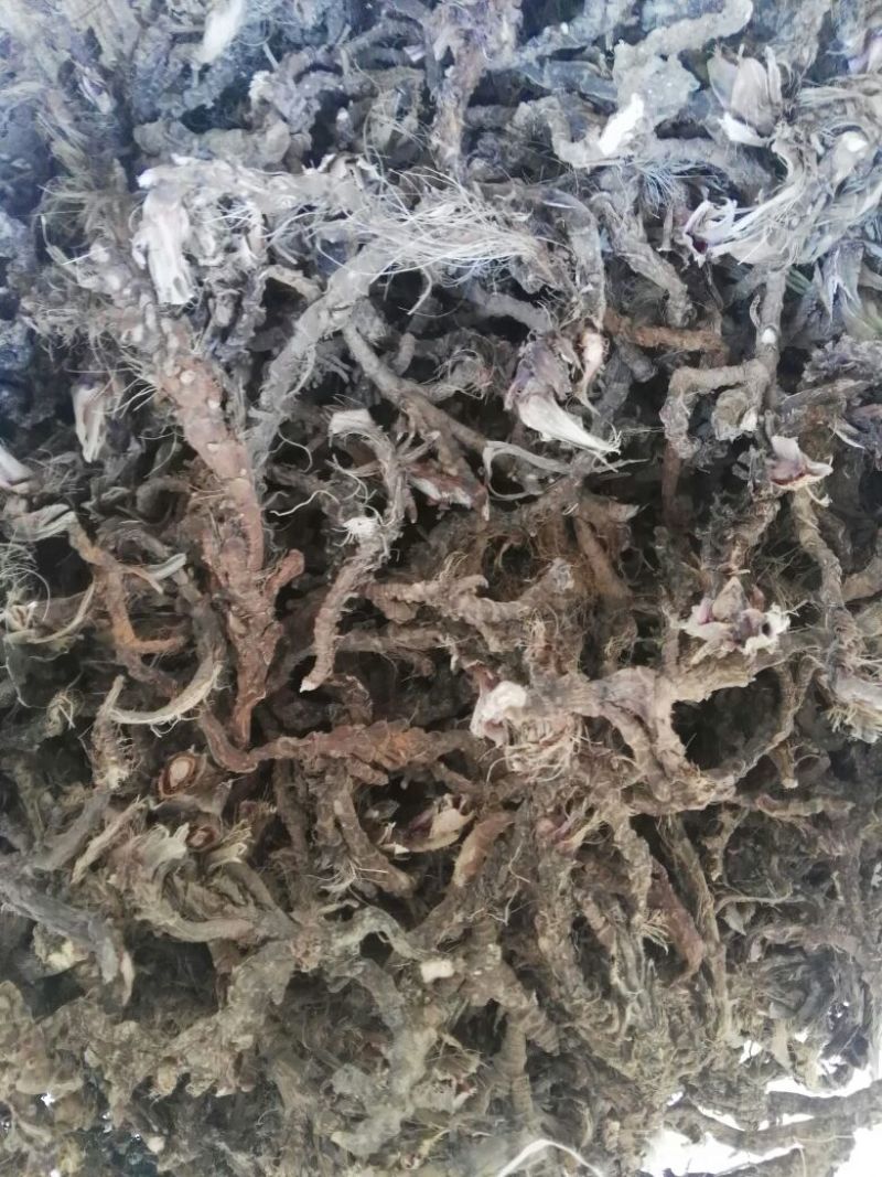 石菖蒲/菖蒲/石葱，干货，常年供应，批发优惠