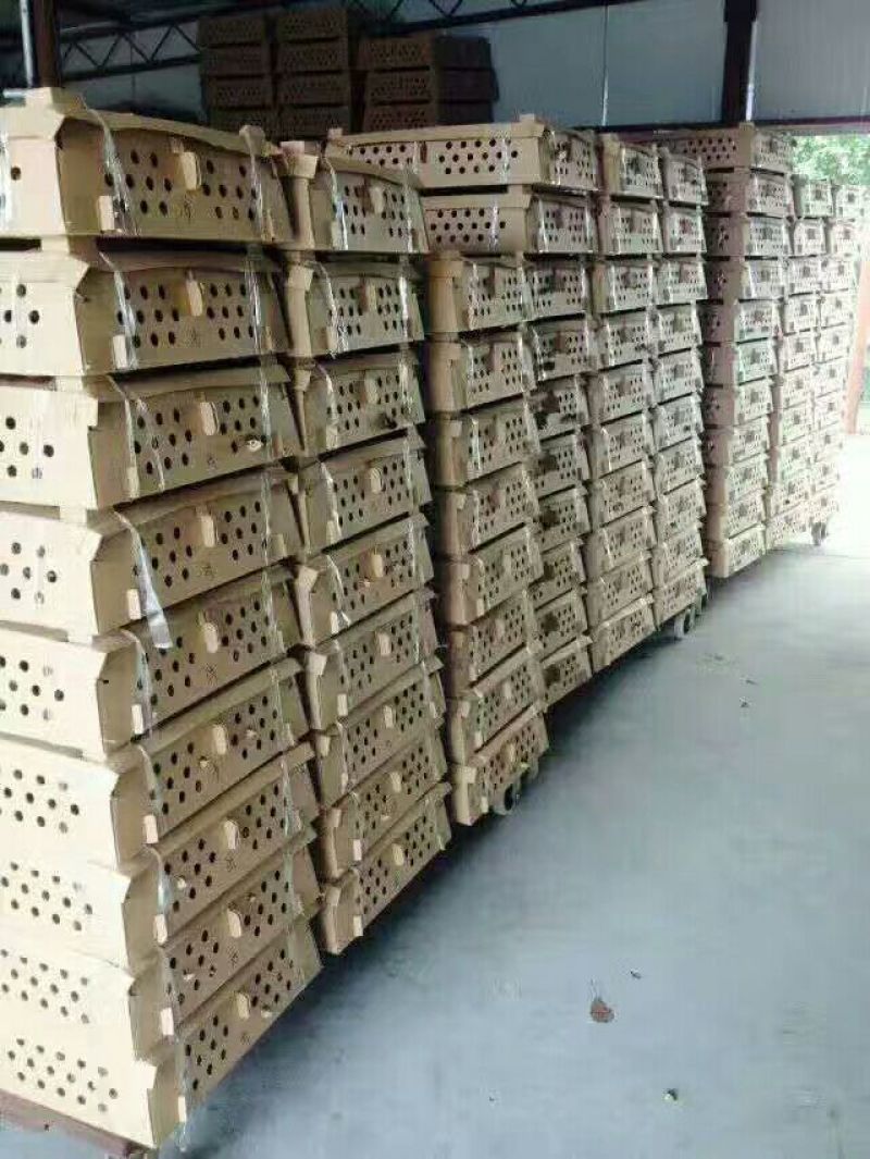 淮南王土鸡苗出壳苗250克以下通货