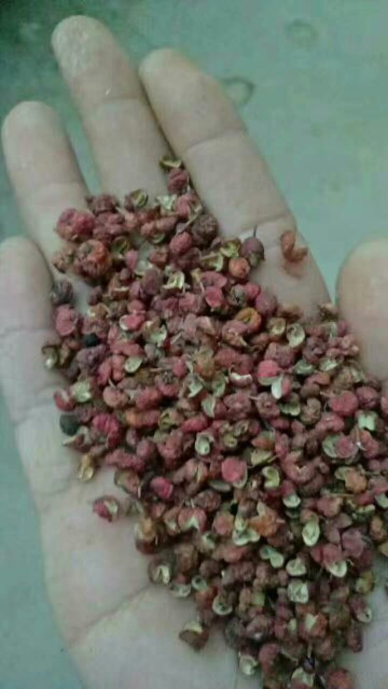 大红袍花椒梅花椒一级干