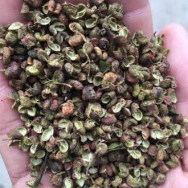 青花椒特级干