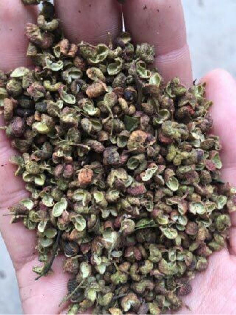 青花椒特级干