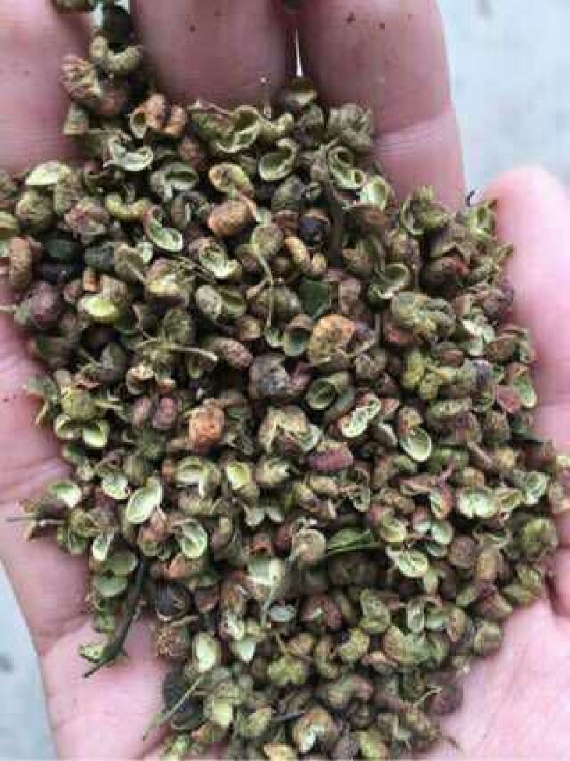 青花椒特级干