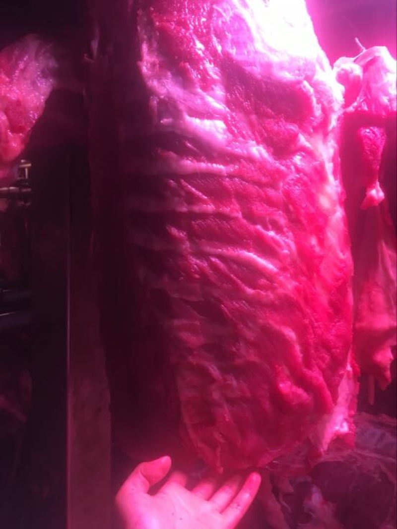 猪肉加工