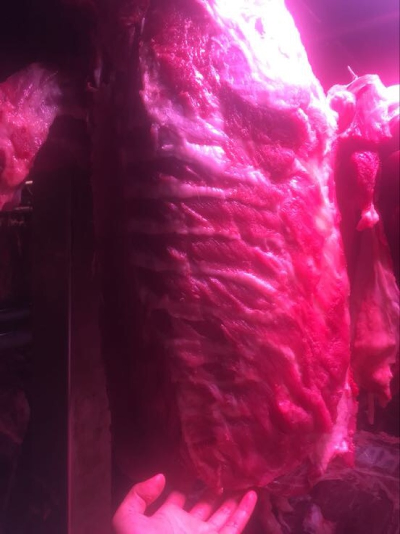 猪肉加工
