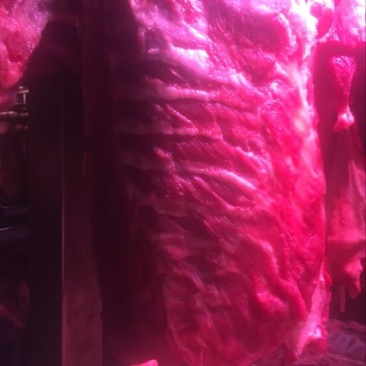 猪肉加工