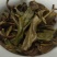 普洱茶一级