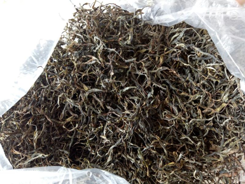 普洱茶一级