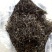 普洱茶一级