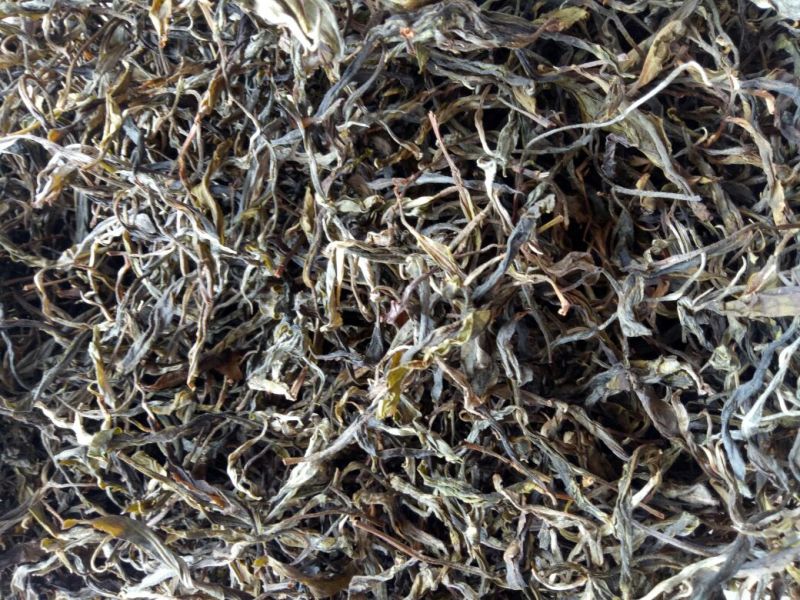 普洱茶一级