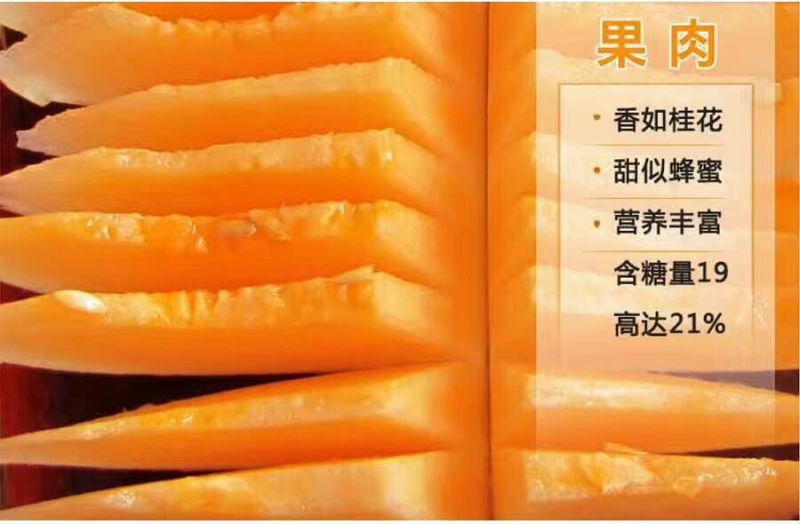 哈密瓜3斤以上椭圆形