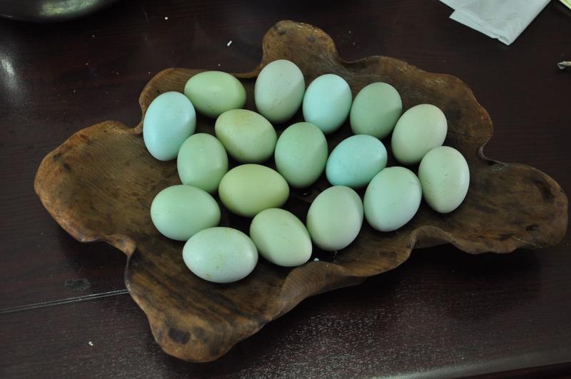 绿壳乌鸡蛋50g/枚养殖场常年供应