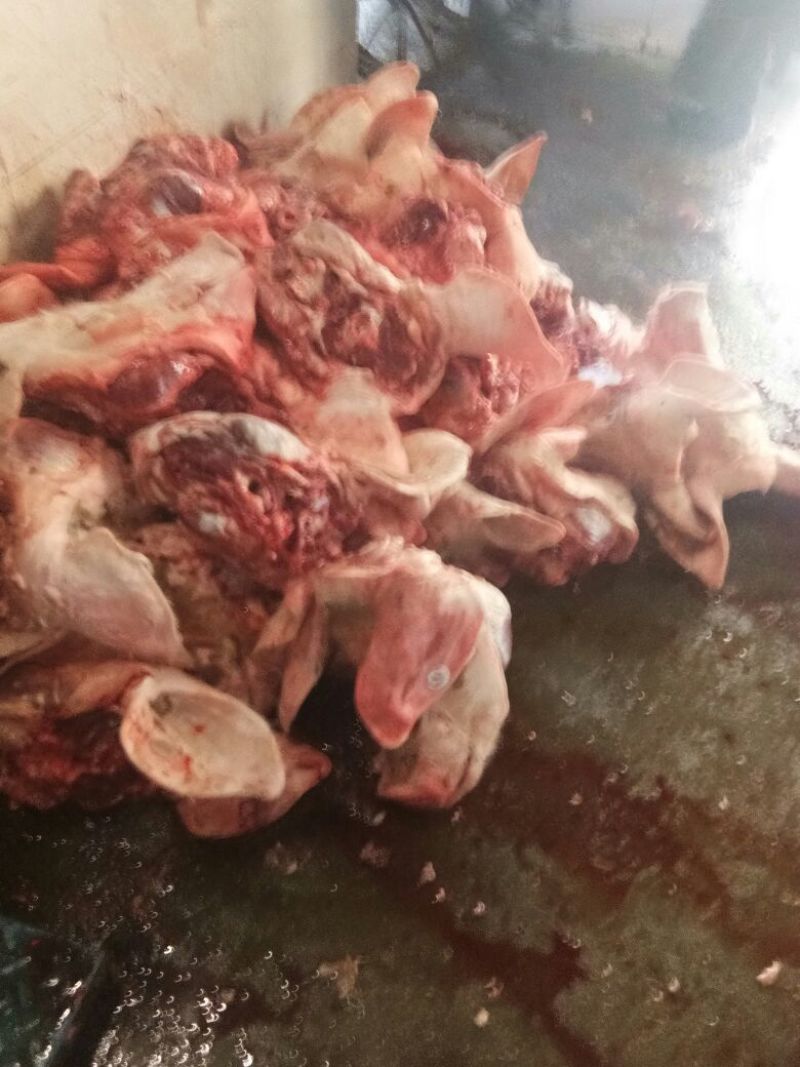 猪头肉散装