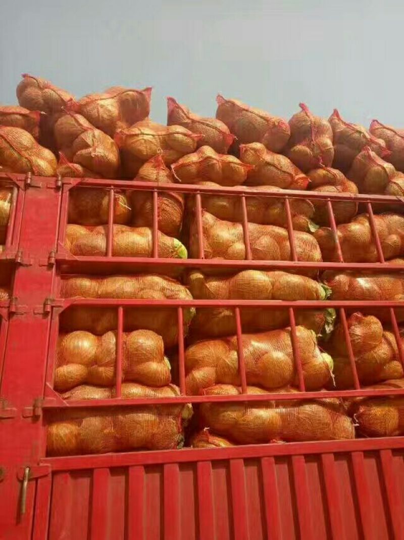 精品扁包菜，产地直销，质量保证，量大从优，合作共赢