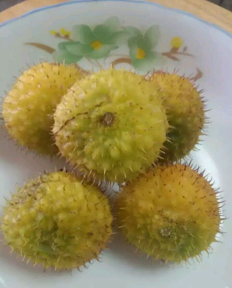 刺梨鲜