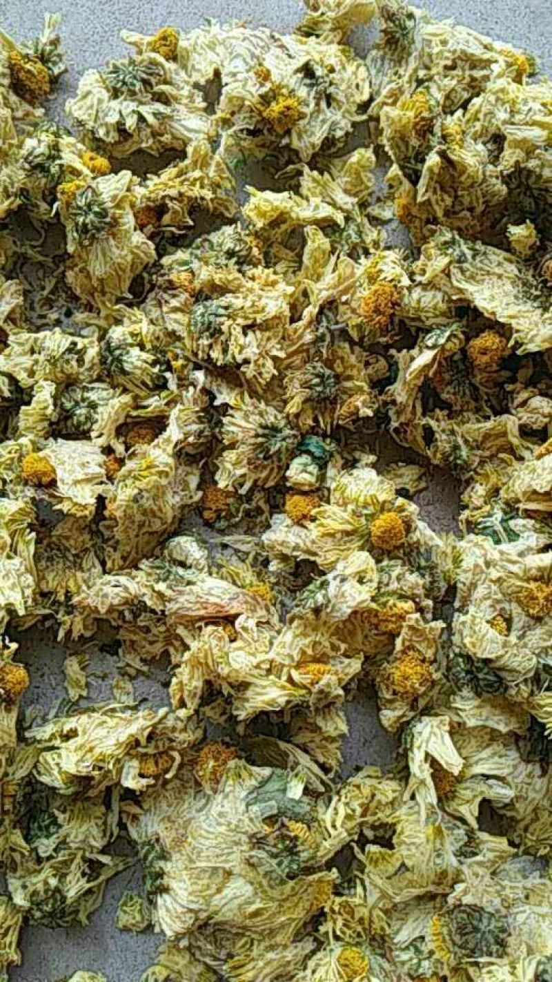 药用菊花散装