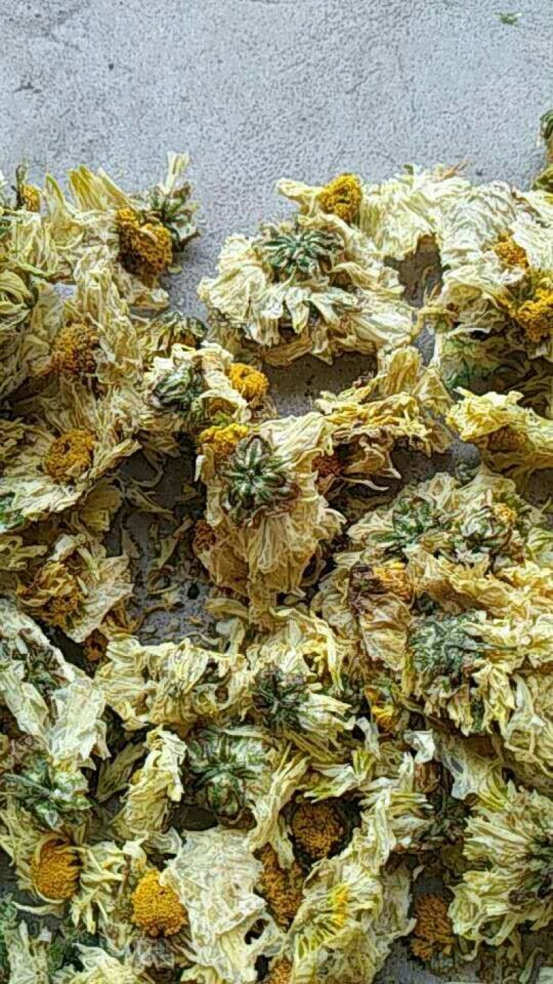 药用菊花散装